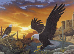  Kifestő készlet akrilfestékkel, ecsettel, gyerekeknek 11 éves kortól - 30x40 cm - Számos kifestő készlet, Szirti sas