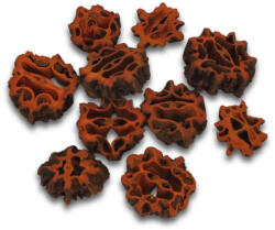 Dió termés barna 10db/csomag - papelito