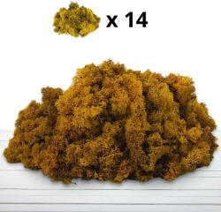  Izlandi zuzmó, moha sárga 500gr