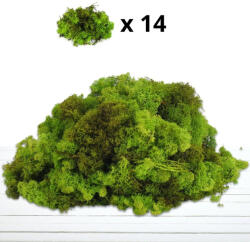  Izlandi zuzmó 500 g - almazöld