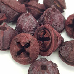 Pasztell mályva eukaliptusz 15db/cs - papelito