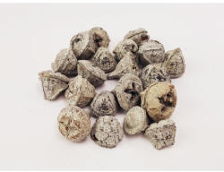 Eukaliptusz termés hamvas 20db/cs - papelito