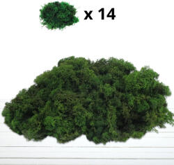  Izlandi zuzmó, moha méregzöld 500gr