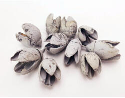  Bakuli termés világoskék 10db/csomag - papelito