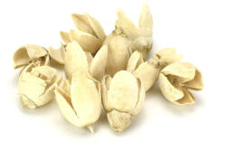 Terméscsomag bakuli fehérített 10db/cs 0999 (0999C)