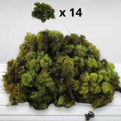  Izlandi zuzmó, moha szín 500gr