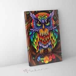 Makana Szivárványos bagoly - Számfestő készlet, kerettel (40x50 cm)