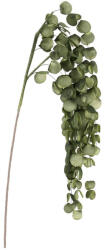 Bizzotto Set 12 crengute Eucalipt artificial verde 32x92h (0170160)