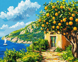 iPicasso Set pictura pe numere, cu sasiu, Plaja lamailor, 40x50 cm (PC40501340)