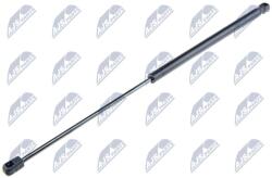 NTY Amortizor portbagaj NTY AE-FR-007 (AE-FR-007)