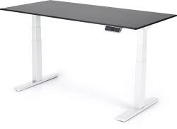 Liftor Expert, 160x80x1, 8 cm, Negru 10745