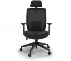 Liftor Scaun de birou ergonomic Liftor Space, negru 18260