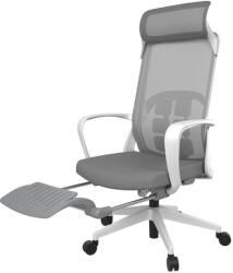 Liftor Scaun de birou ergonomic Liftor Orca, gri 18188