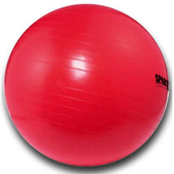 SPARTAN Gimnasztikai labda Power 75 cm piros