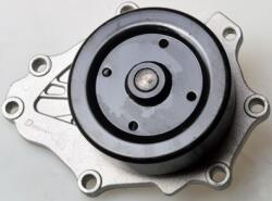 Denckermann Pompă de apă, răcire motor DENCKERMANN A310949P (A310949P) - centralcar