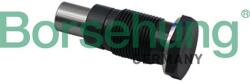 Borsehung chit lant de distributie Borsehung B19308 (B19308) - centralcar