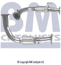 Bm Catalysts Racord evacuare BM CATALYSTS BM50229 (BM50229)