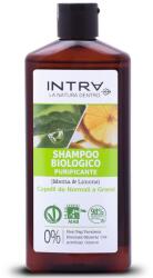 INTRA Sampon, menta és lime, 250 ml