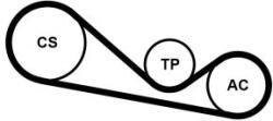 Continental Ctam Set curea transmisie cu caneluri CONTINENTAL CTAM 4PK1237K1 (4PK1237K1) - centralcar
