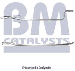 Bm Catalysts Racord evacuare BM CATALYSTS BM50119 (BM50119)