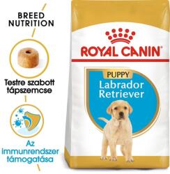 Royal Canin LABRADOR PUPPY 24 kg (2 x 12 kg) Labrador Retriever kölyök kutya száraz táp