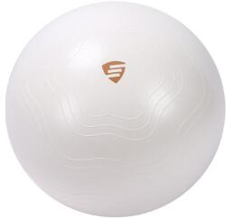 LIVEPRO - Exercise Ball - Fitness Labda - 65 Cm