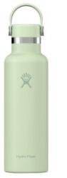 Hydro Flask Standard Mouth 21 oz Termos 338 Aloe