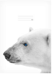 MFP Lux Füzet Iskolai A/4 40 Lapos Vonalas Jegesmedve Fehér (MFP7520355)