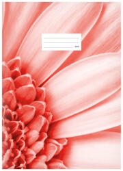 MFP Lux Füzet Iskolai A/4 40 Lapos Sima Barack Virág (MFP7520353)