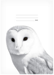 MFP Lux Füzet Iskolai A/5 40 Lapos Vonalas Bagoly Fehér (MFP7520390)