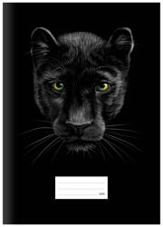 MFP Füzet Iskolai A/4 40 Lapos Sima Párduc Fekete (MFP7520211)