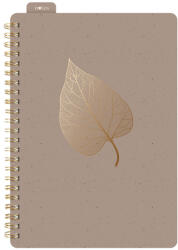 MFP Notesz Spirálos A/5 80 Lapos Vonalas Szürke (MFP7501615)