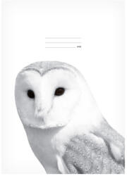 MFP Lux Füzet Iskolai A/4 40 Lapos Vonalas Bagoly Fehér (MFP7520358)