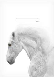 MFP Lux Füzet Iskolai A/5 40 Lapos Vonalas Ló Fehér (MFP7520389)