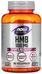 NOW HMB (Recuperare Musculara) 500 mg, NOW Foods, 120 capsule
