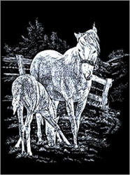  Képkarcoló készlet karctűvel - 20x25 cm - Ezüst - Kanca és csikó