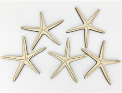 Fa tengeri csillag 8cm 5db/cs 6067 (6067)