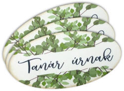Nyomtatott dekorkarton - Tanár úrnak ovál tábla 3db - papelito