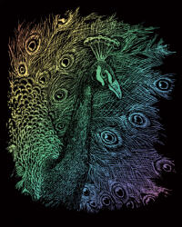  Képkarcoló készlet karctűvel - 20x25 cm - Szivárványos - Páva