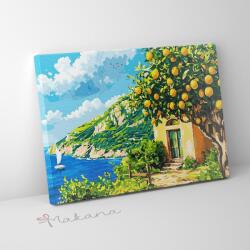 Makana Citromfa árnyékában - Számfestő készlet, kerettel (40x50 cm)