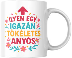  Ilyen egy igazán tökéletes anyós bögre (ilyen_egy_igazan_tokeletes_anyos_bogre)
