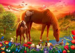 Trefl - Puzzle Horses in the meadow - 500 piese