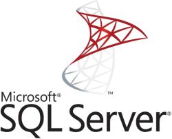 Microsoft SQL Server 2022 Standard Angol Oem OLC (228-11618)
