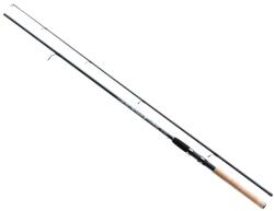 JAXON tenesa spinning rod 3, 00m 2 10-40g pergető horgászbot (WJ-TNS30040) - nextfish
