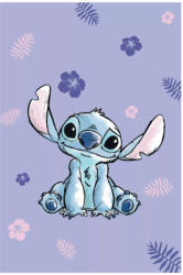 Disney Lilo és Stitch, A csillagkutya Blooming mikroflanel, plüss takaró 100x150cm
