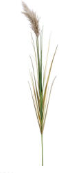 Bizzotto Set 5 Pampas artificial verde maro Ø18x140h (0173026)