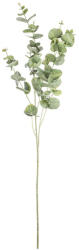 Bizzotto Set 24 crengute Eucalipt artificial verde 26x93h (0172933)