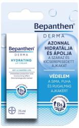 Bepanthen Derma ajakápoló krém 7, 5ml