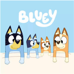 Ludo Studio Bluey Cozy kéztörlő, arctörlő, törölköző 30x30 cm