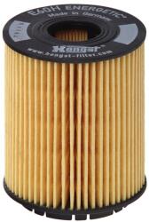Hengst Filter Olejový filter HENGST FILTER E60H D110 (E60H D110)